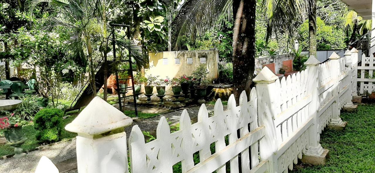 Cinnamon Garden - Hiriketiya Dikwella Exterior foto
