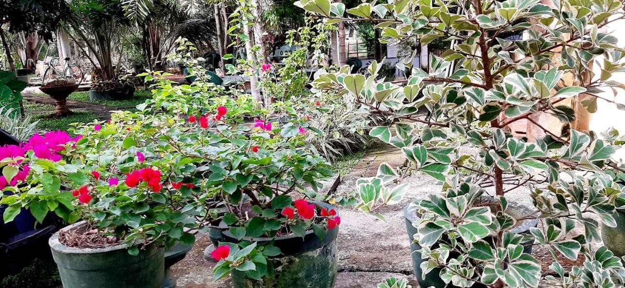Cinnamon Garden - Hiriketiya Dikwella Exterior foto