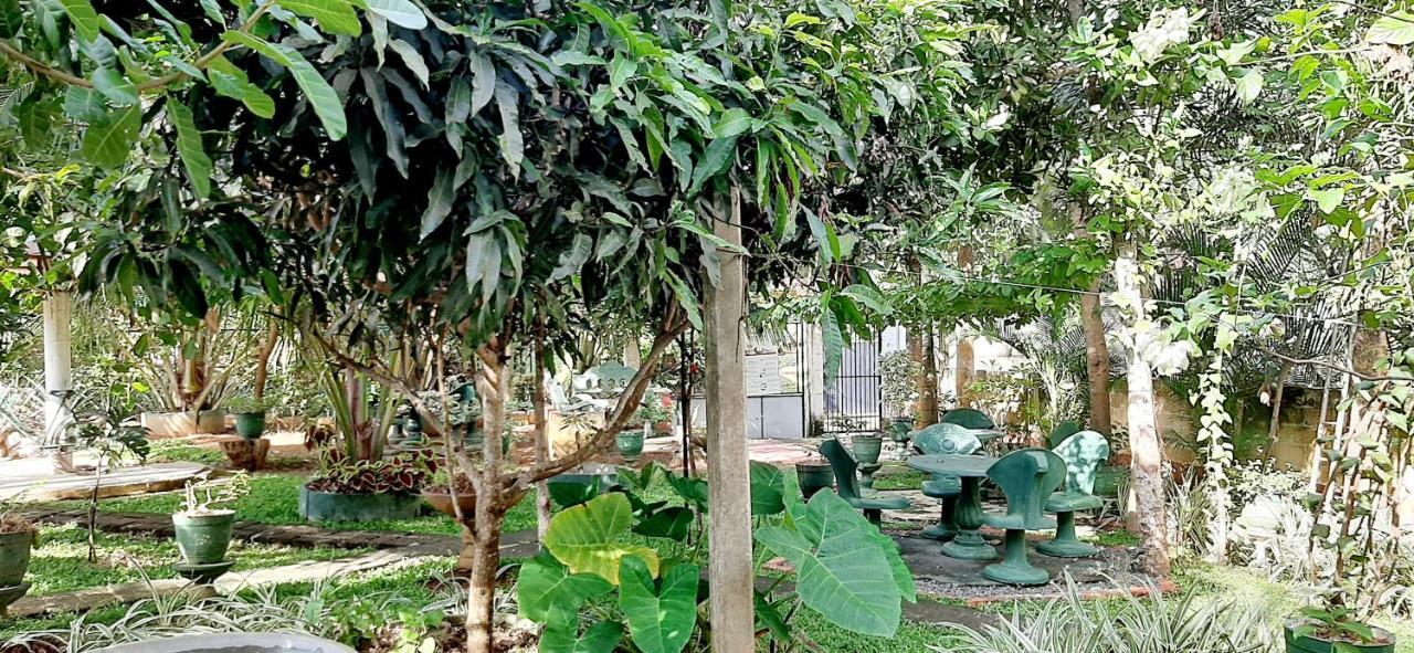 Cinnamon Garden - Hiriketiya Dikwella Exterior foto