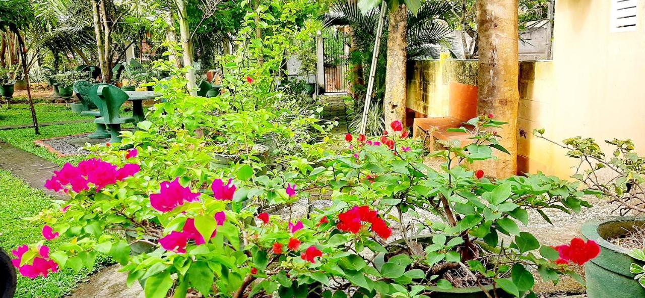 Cinnamon Garden - Hiriketiya Dikwella Exterior foto