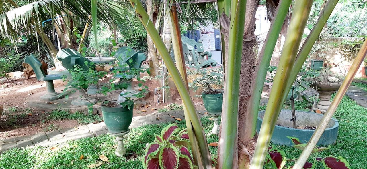 Cinnamon Garden - Hiriketiya Dikwella Exterior foto