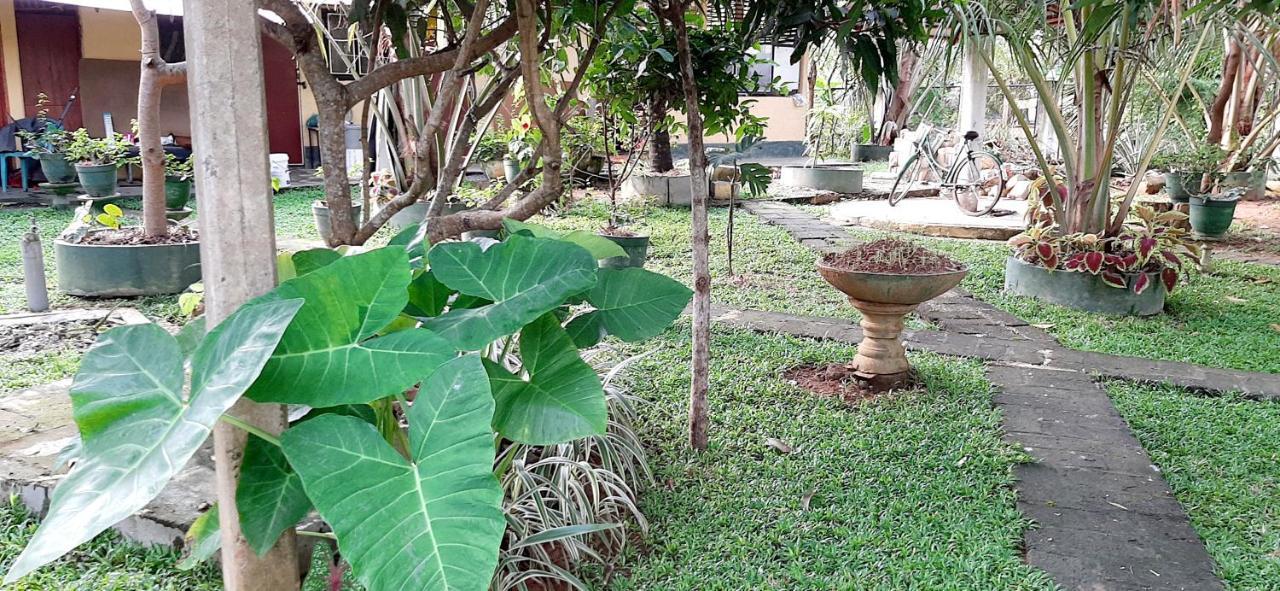 Cinnamon Garden - Hiriketiya Dikwella Exterior foto