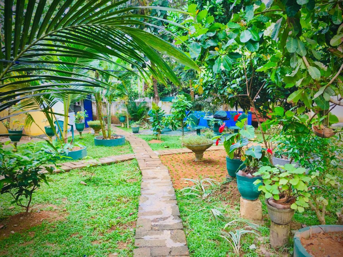 Cinnamon Garden - Hiriketiya Dikwella Exterior foto