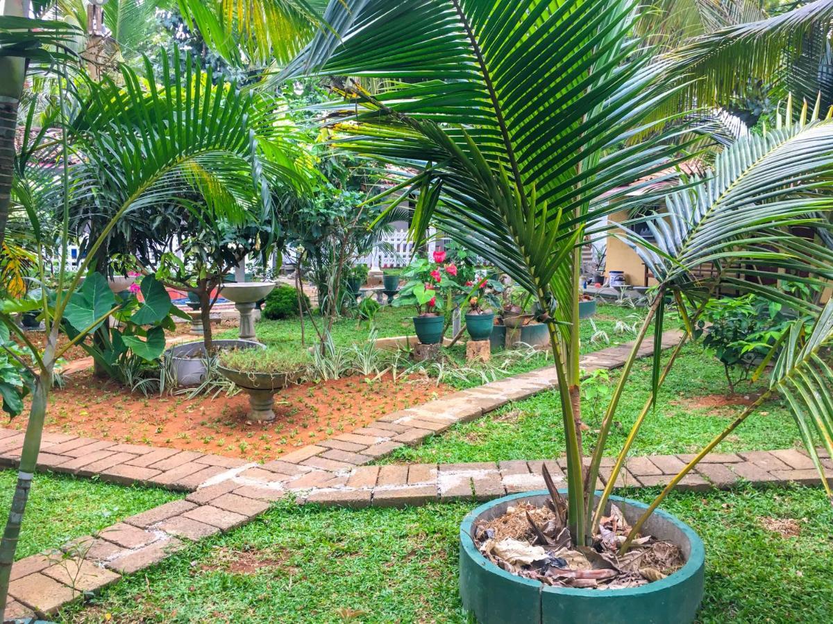 Cinnamon Garden - Hiriketiya Dikwella Exterior foto
